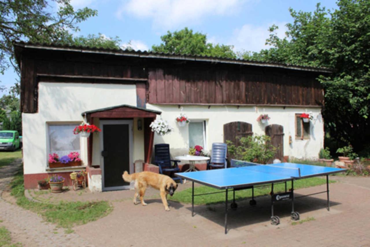 Heidi Apartman Zinnowitz Kültér fotó